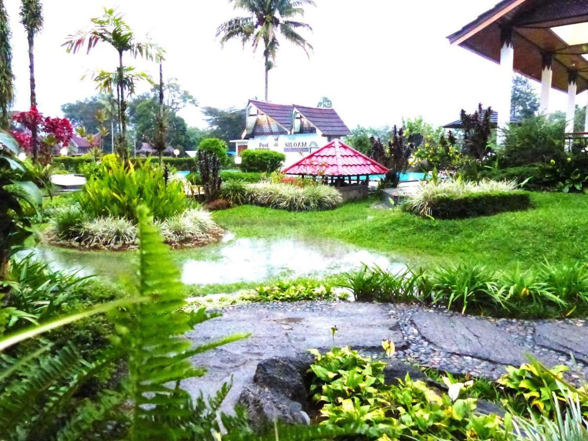 Toraja Torsina Hotel Rantepao Extérieur photo