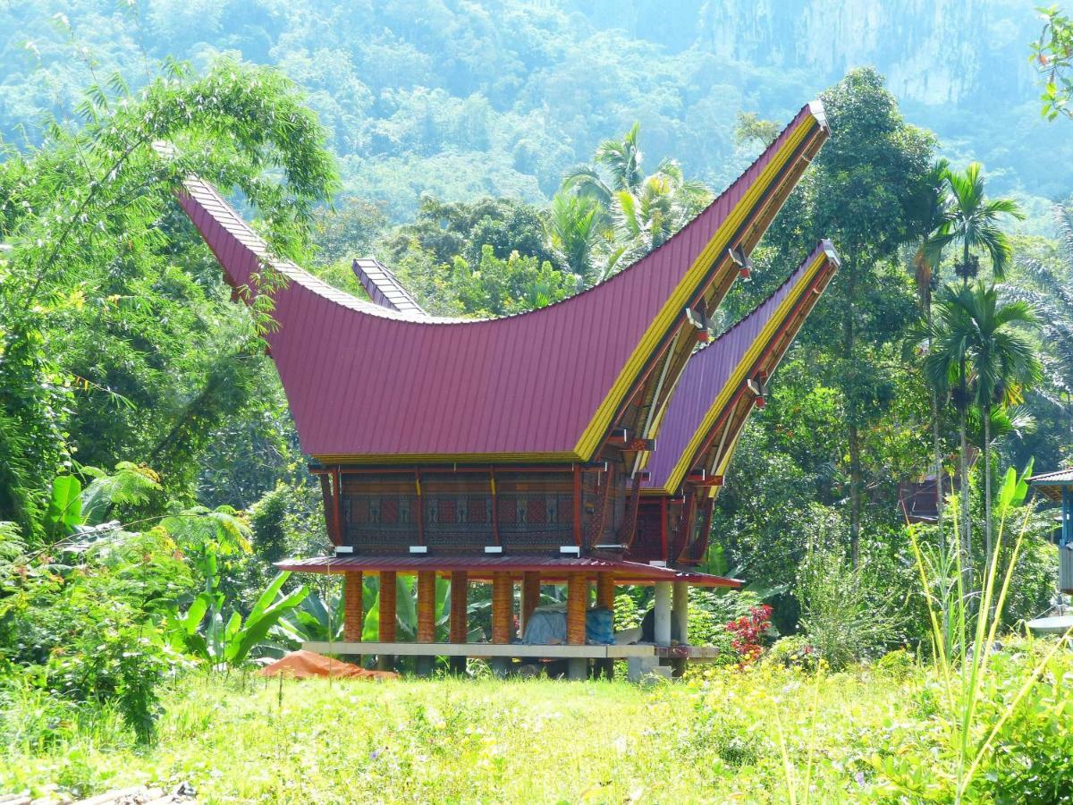 Toraja Torsina Hotel Rantepao Extérieur photo