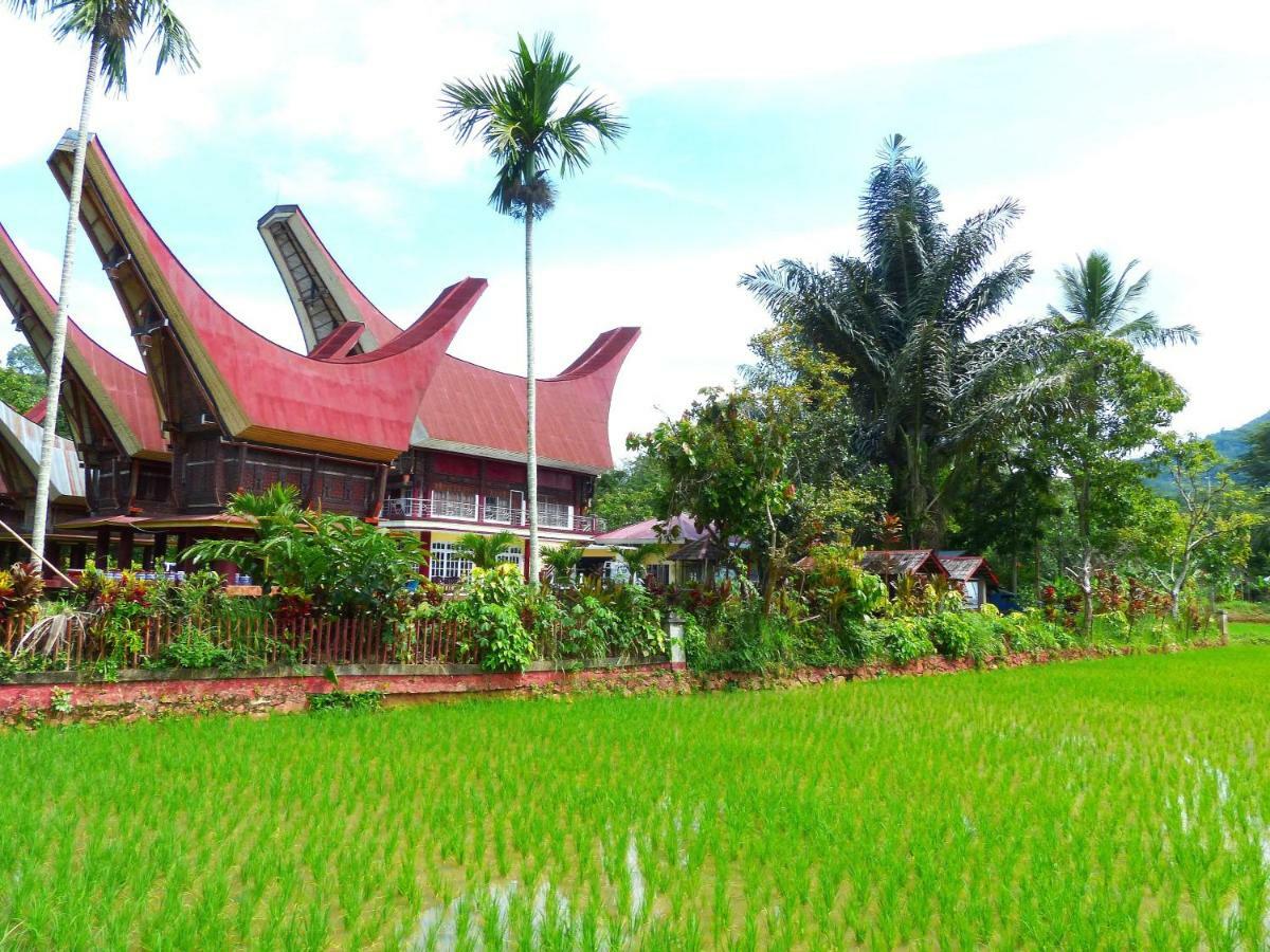 Toraja Torsina Hotel Rantepao Extérieur photo